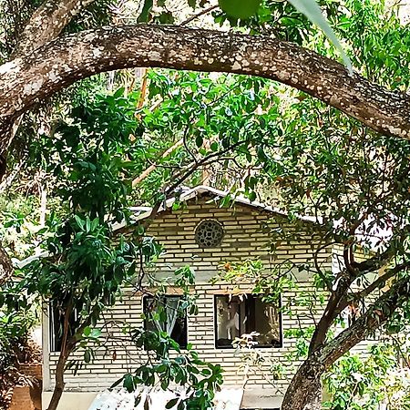 Eden Los Abuelos 2 - Casa Privada En Minca Nature Exterior foto