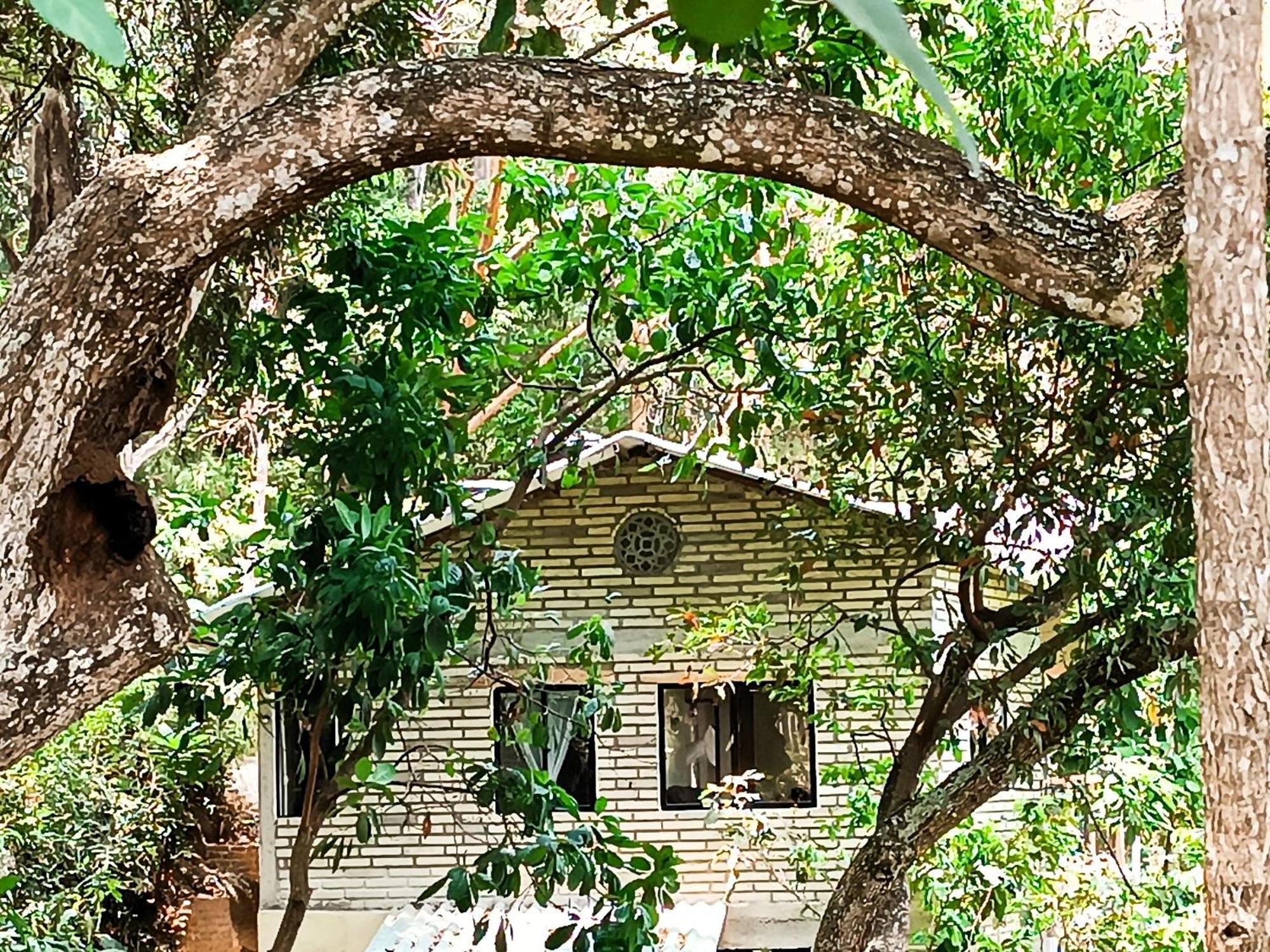 Eden Los Abuelos 2 - Casa Privada En Minca Nature Exterior foto